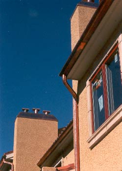 Jackson project final view