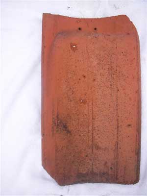 Heinz Scandinavia tile