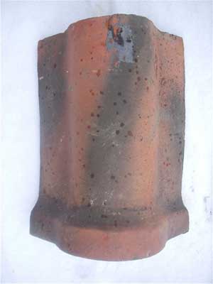 Heinz Ridge Tile